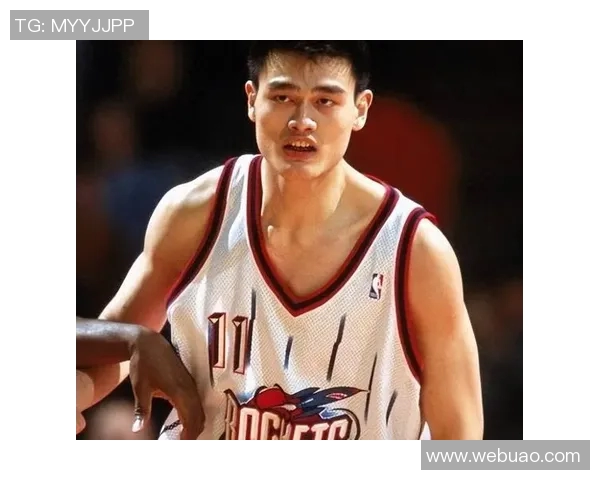 重塑姚明传奇生涯的全新视角与启示